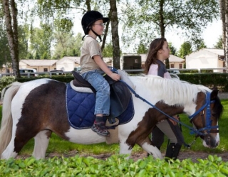 Horse riding adventure 